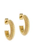 Ted Baker Dotetta Dotty Hoop Earrings