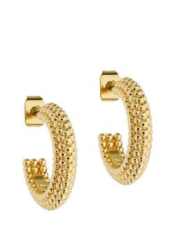 Ted Baker Dotetta Dotty Hoop Earrings, Gold