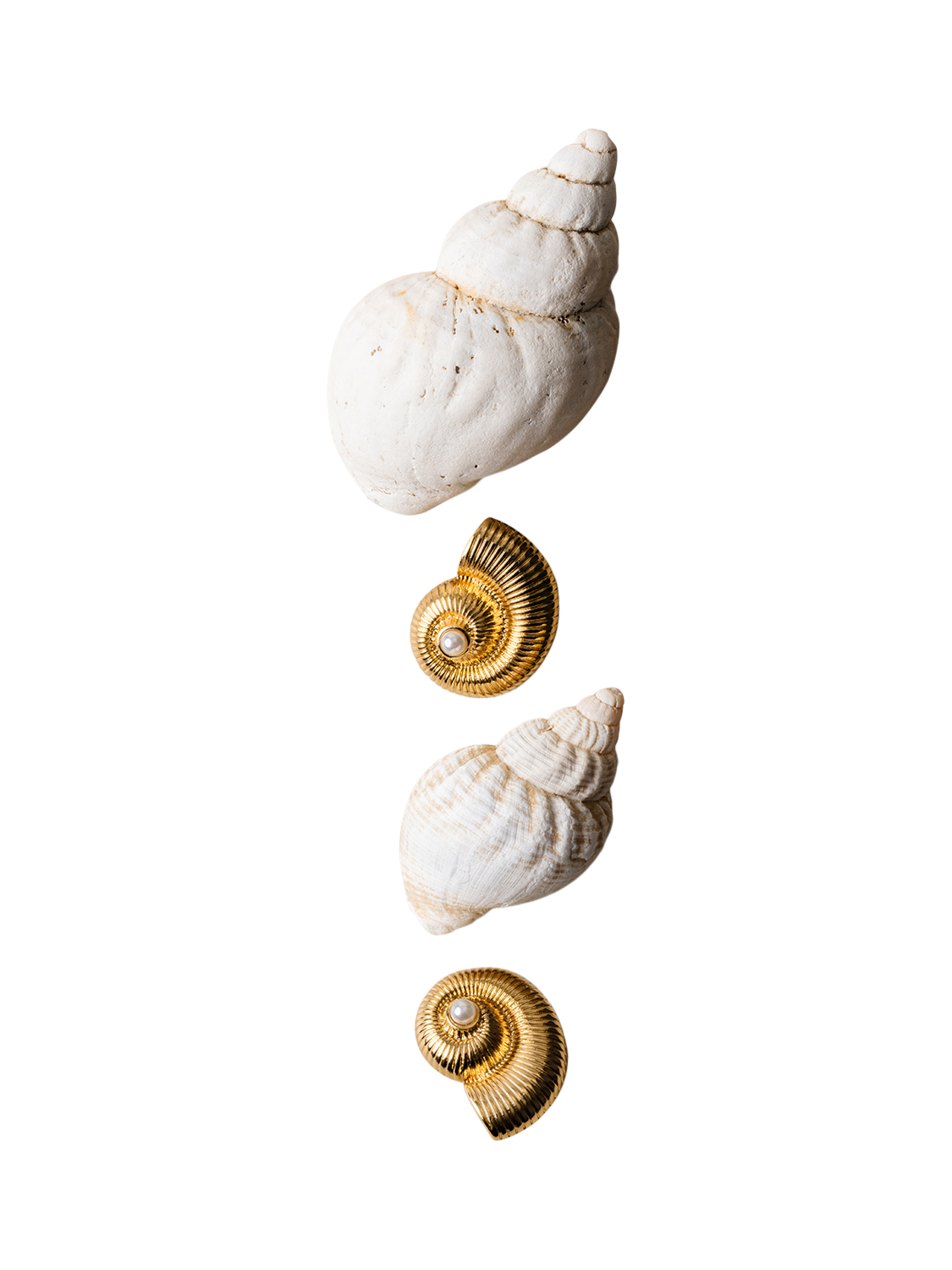 Product image 3 of 3, which shows Orelia Textured Ammonite Stud Earrings, Gold