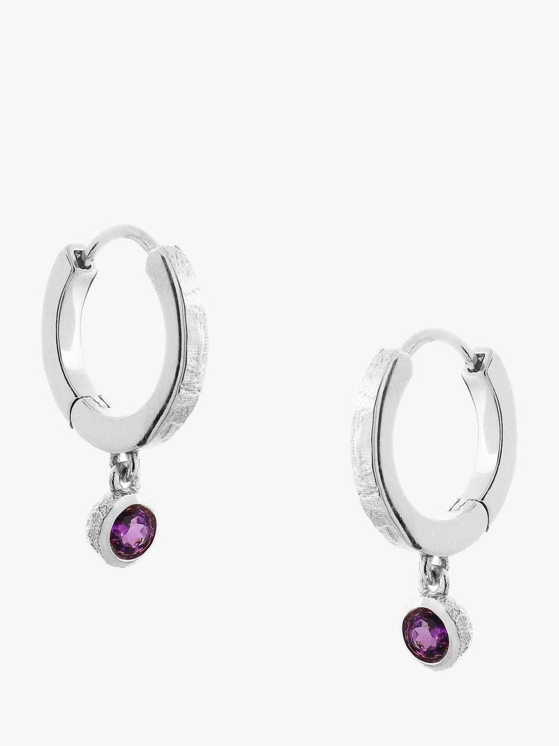 Product image 1 of 3, which shows Tutti & Co Birthstone Hoop Earrings, Silver, Amethyst/February