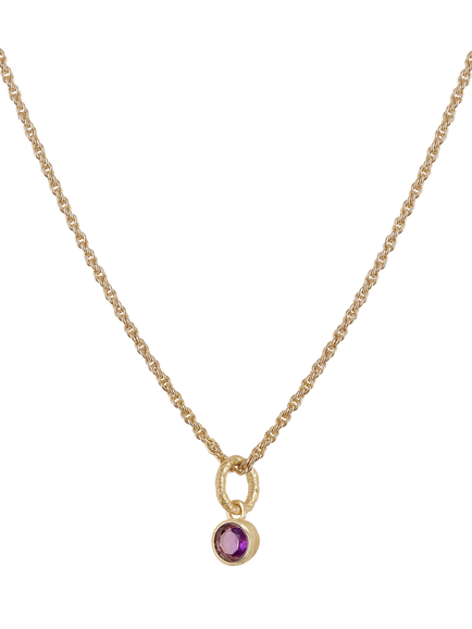 Tutti Birthstone Necklace, Gold, Amethyst/February