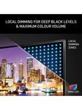 Panasonic TV-75W95BEB (2025) Mini LED HDR 4K Ultra HD Smart Fire TV, 75 inch with Dolby Atmos, Black