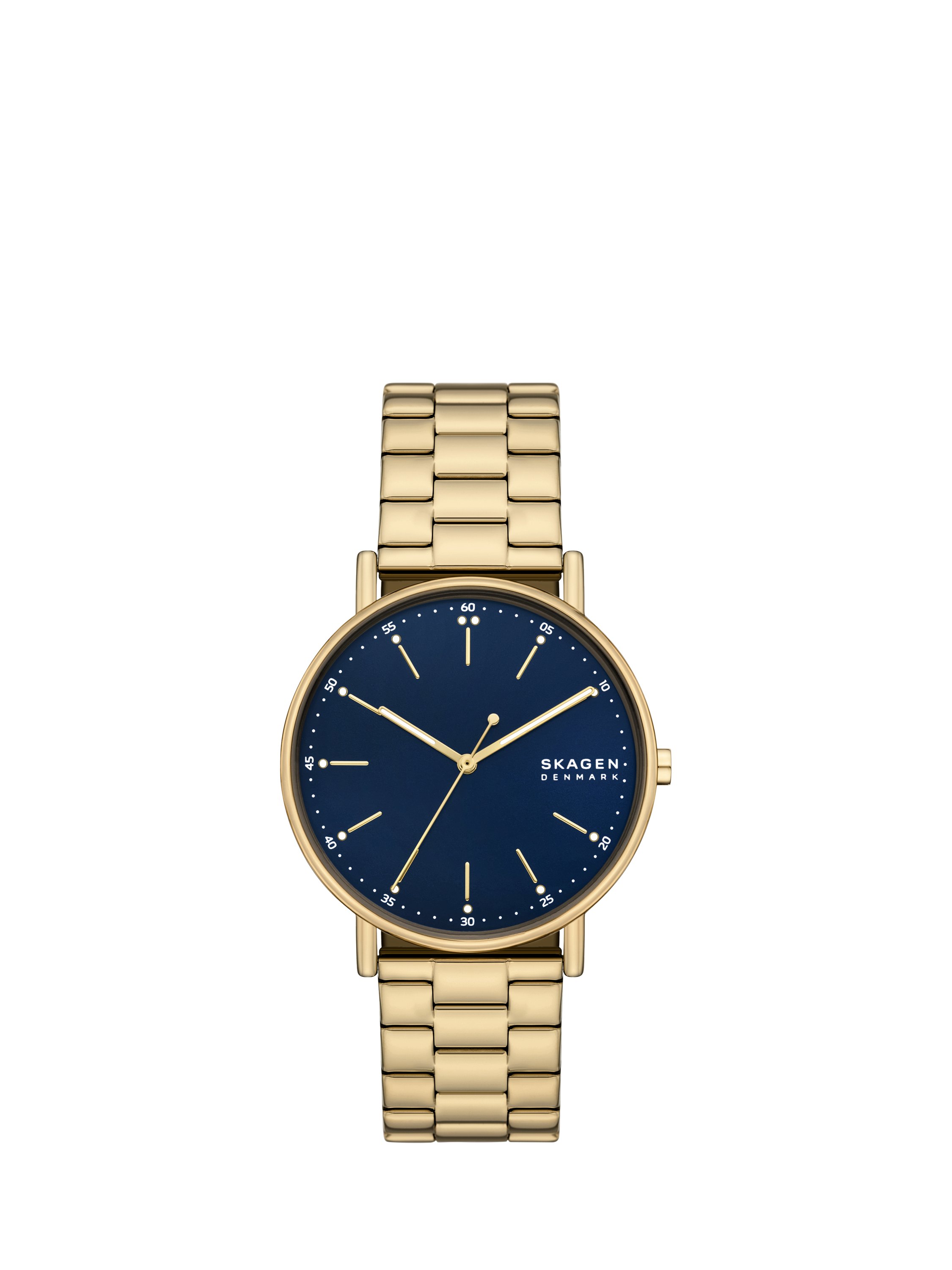 Stainless Steel Skagen Outlet Store Near Me Skagen 233XLTTM