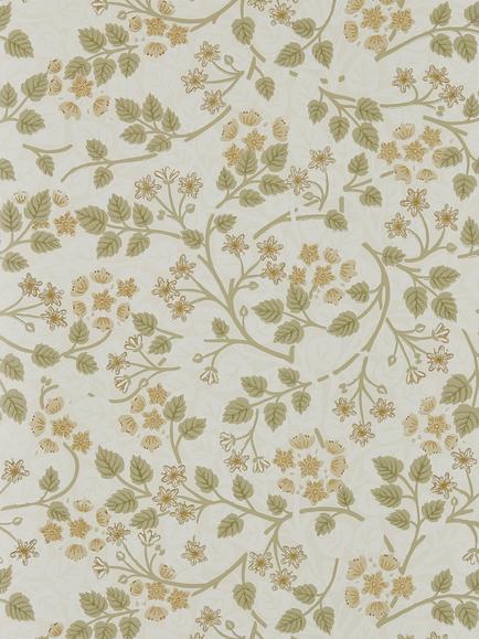 Sanderson Silver Lime Wallpaper, Lichen