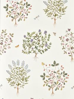Sanderson Thyme Walk Wallpaper, Damson/Quince