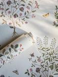 Sanderson Thyme Walk Wallpaper