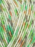 West Yorkshire Spinner Butterflies 4 Ply Knitting Yarn, 100g