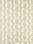 Sanderson Apothecary Rose Floral Stripe Fabric, Parchment/Olivine