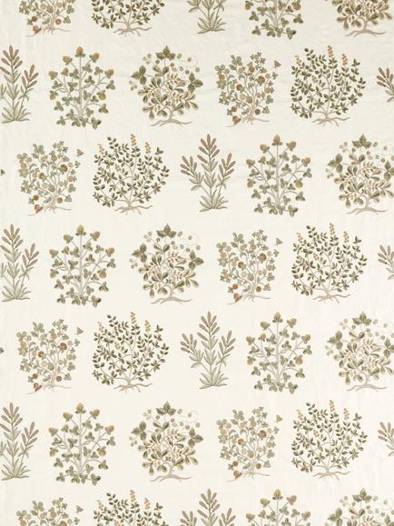 Sanderson Thyme Walk Furnishing Fabric, Lichen/Gooseberry