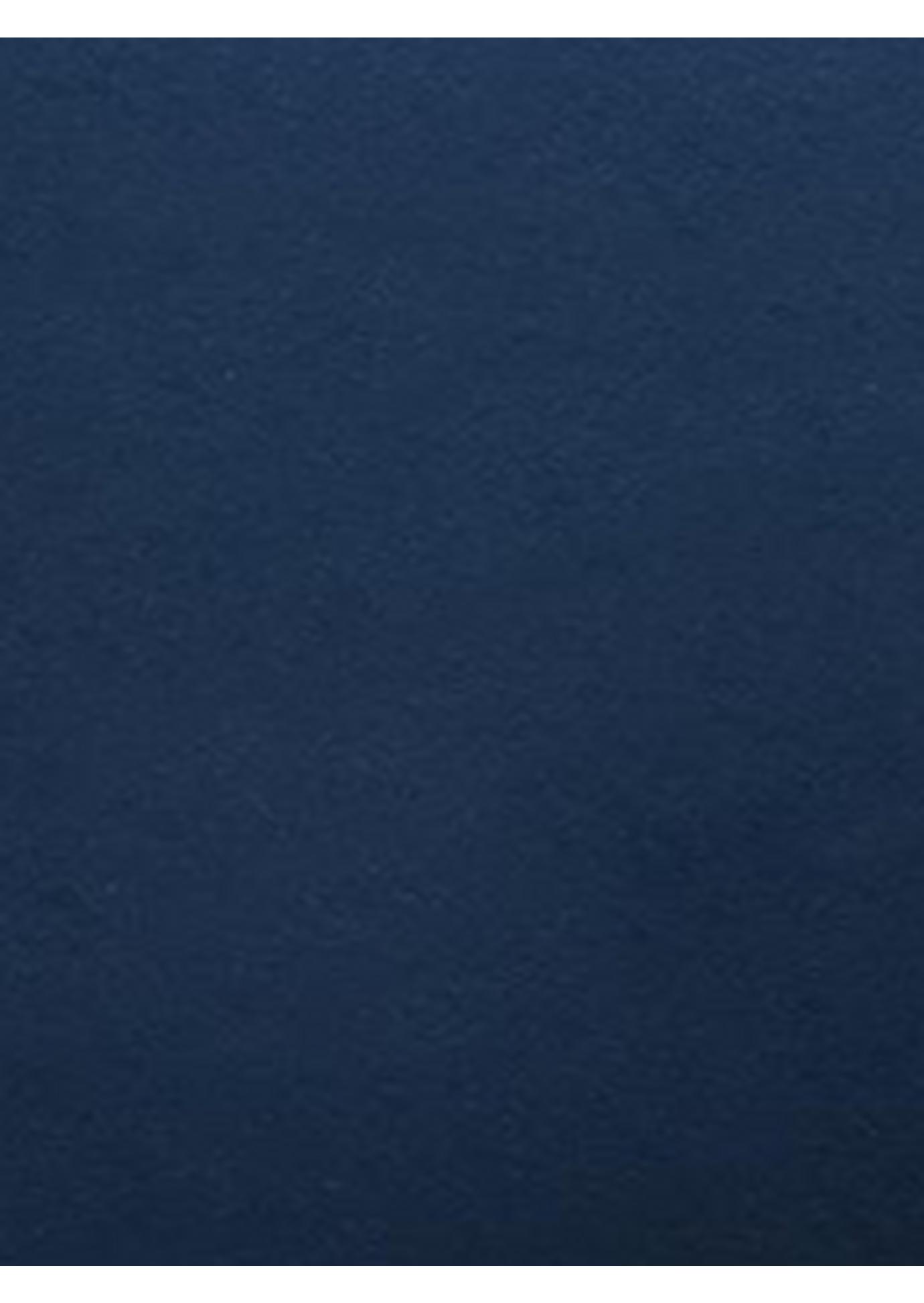Plush Navy