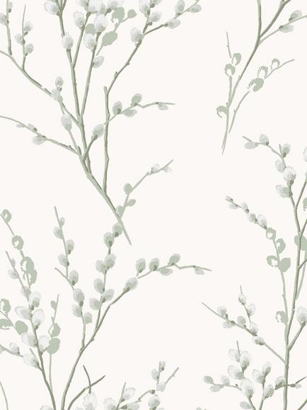 Laura Ashley Pussy Willow Wallpaper, Sage Green