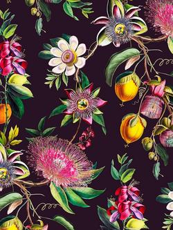 Graham & Brown Physic Garden Wallpaper, Blackcurrant