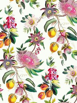 Graham & Brown Physic Garden Wallpaper, Lush