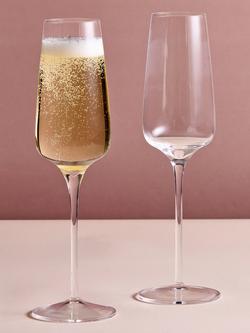 Anton Studio Designs Juno Glass Champagne Flute, Set of 2, 250ml, Clear - view 2, Clear