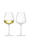 Anton Studio Designs Juno White Wine Glasses, Set of 2, 450ml, Clear