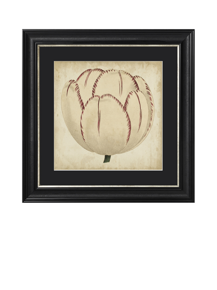 Brookpace Lascelles 'Pop Floral I' Framed Print, 49 x 49cm, Black/Cream, Black Cream