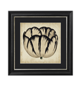 Brookpace Lascelles 'Pop Floral IV' Framed Print, 49 x 49cm, Black/Cream