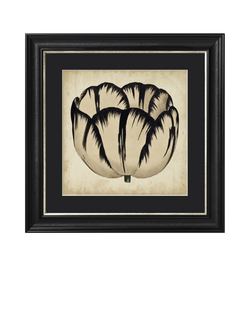 Brookpace Lascelles 'Pop Floral IV' Framed Print, 49 x 49cm, Black/Cream, Black Cream