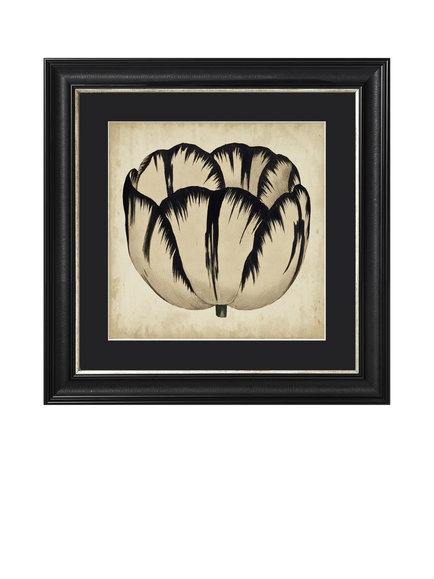 Brookpace Lascelles 'Pop Floral IV' Framed Print, 49 x 49cm, Black/Cream, Black Cream