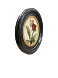 Brookpace Lascelles 'Tulip V' Round Porthole Framed Print, 43cm, Multi