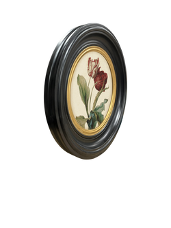 Brookpace Lascelles 'Tulip V' Round Porthole Framed Print, 43cm, Multi - view 2, Black Multi
