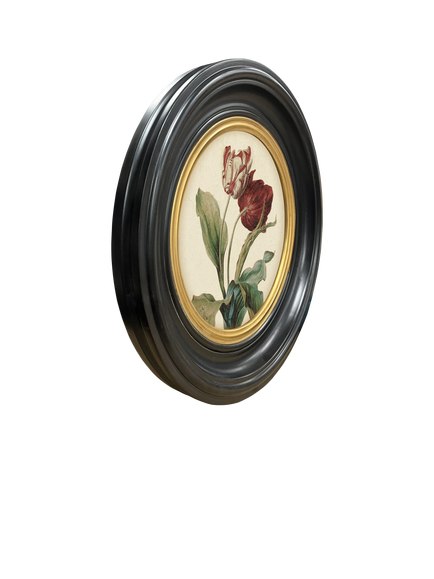 Brookpace Lascelles 'Tulip V' Round Porthole Framed Print, 43cm, Multi - view 2, Black Multi