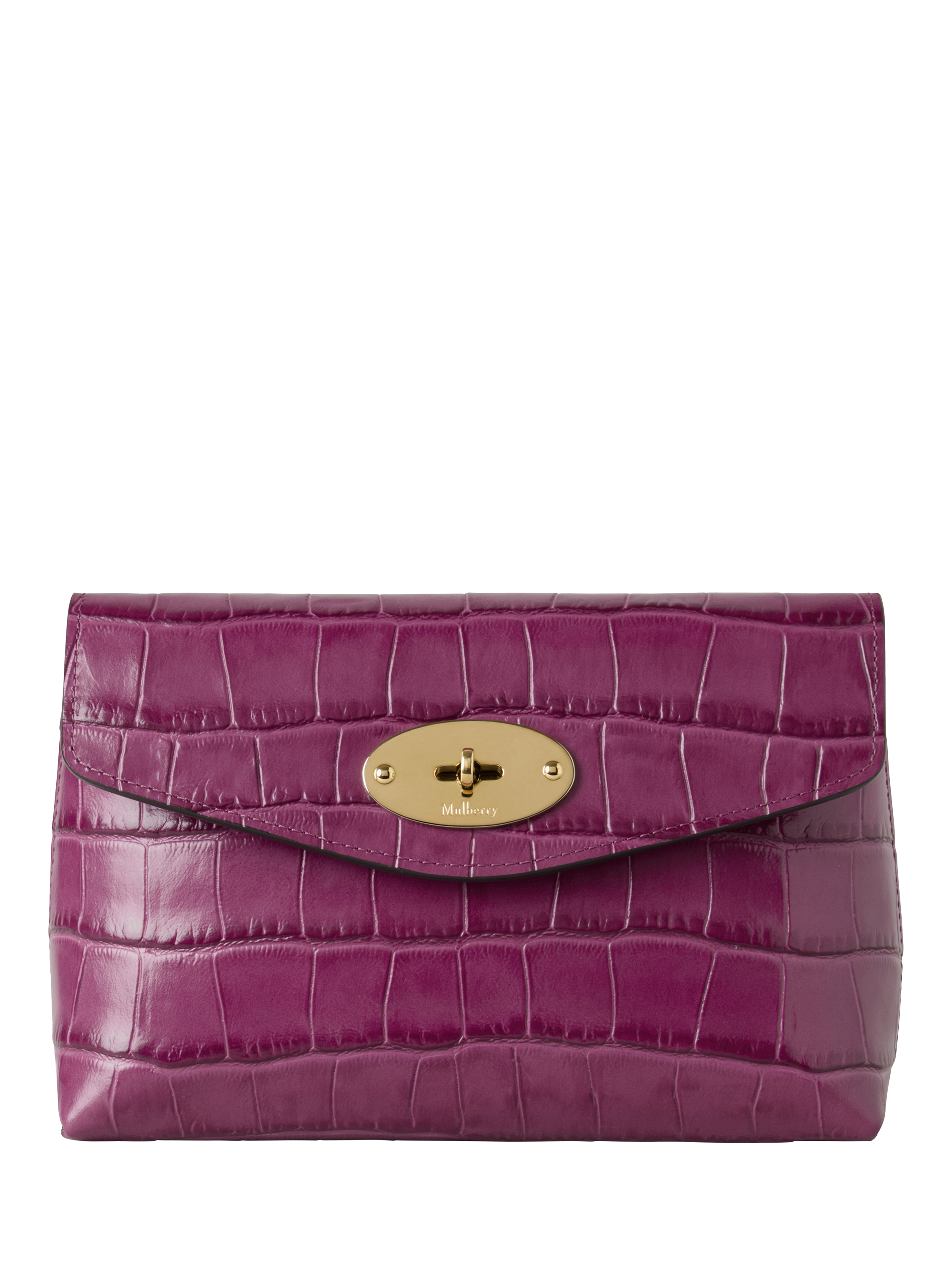 Product image 1 of 11, which shows Darley Cosmetic Pouch Croc