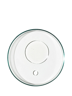 Grown Alchemist Restorative Body Oil, 100ml - view 2, 