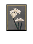 Brookpace Lascelles Ogawa Kazumasa 'Iris Kaempferi' Framed Print, 56 x 46cm, Black/Multi