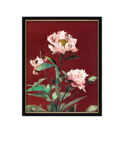 Brookpace Lascelles Ogawa Kazumasa 'Peony II' Framed Print, 56 x 46cm, Black/Multi