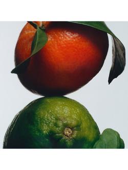 Jo Malone London Lime Basil & Mandarin Body Crème, 50ml - view 2, 