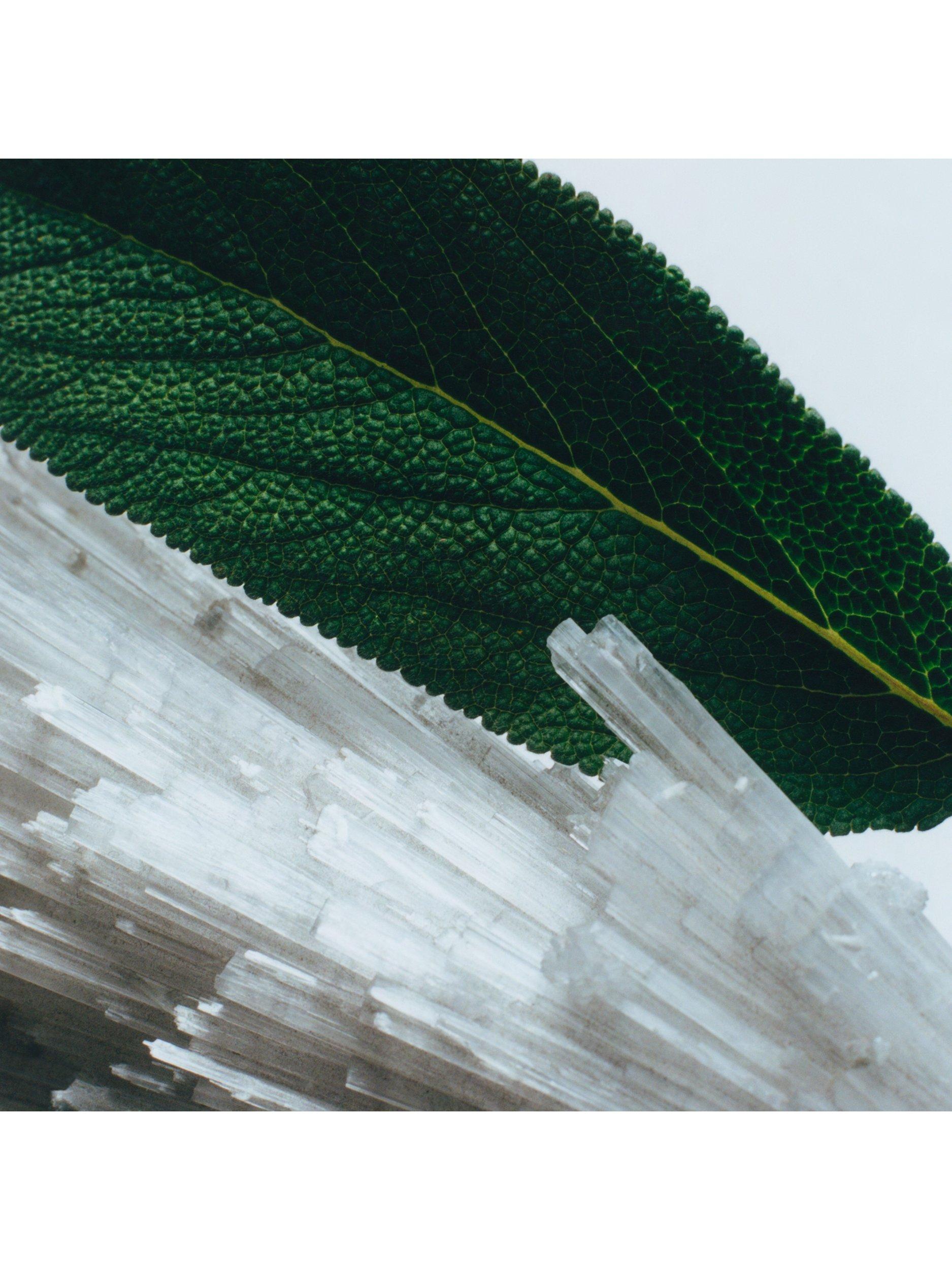 Product image 2 of 5, which shows Jo Malone London Limited Edition Decorated Wood Sage & Sea Salt Cologne, 100ml