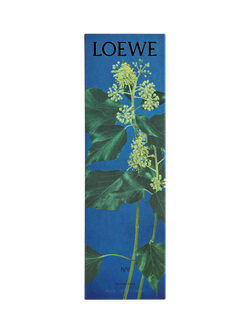 LOEWE Ivy Incense Sticks Refill - view 2, 