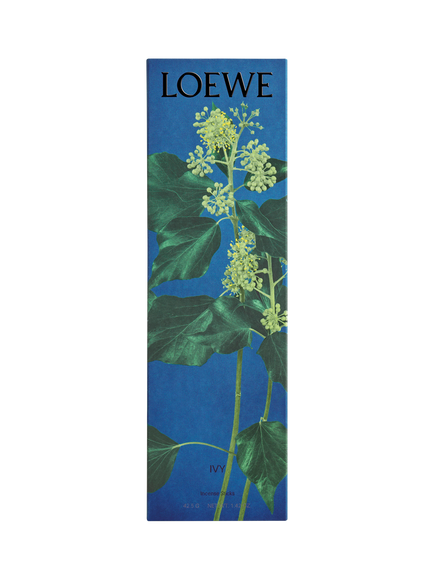 LOEWE Ivy Incense Sticks Refill - view 2, 