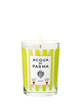 Acqua di Parma Caminetto Scented Candle, 200g