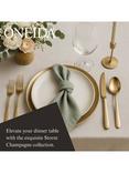 Oneida Storm Stainless Steel Cutlery Set, 20 Piece/4 Place Settings, Champagne