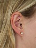 Tish Lyon Platinum Titanium Moissanite Prong Stud Earrings