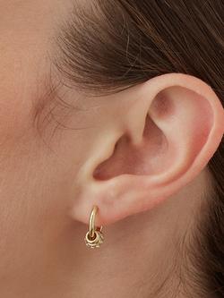 Estella Bartlett Triple Disc Cubic Zirconia Hoop Earrings - view 2, Gold