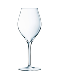 Chef&Sommelier Exaltation Crystal White Wine Glass, Set of 6, 380ml, Clear