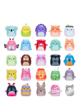 Squishmallows Squish-a-longs Mini-Squish, Style 1/Wave 3, Pack of 25