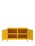 Bisley Fern TV Cabby