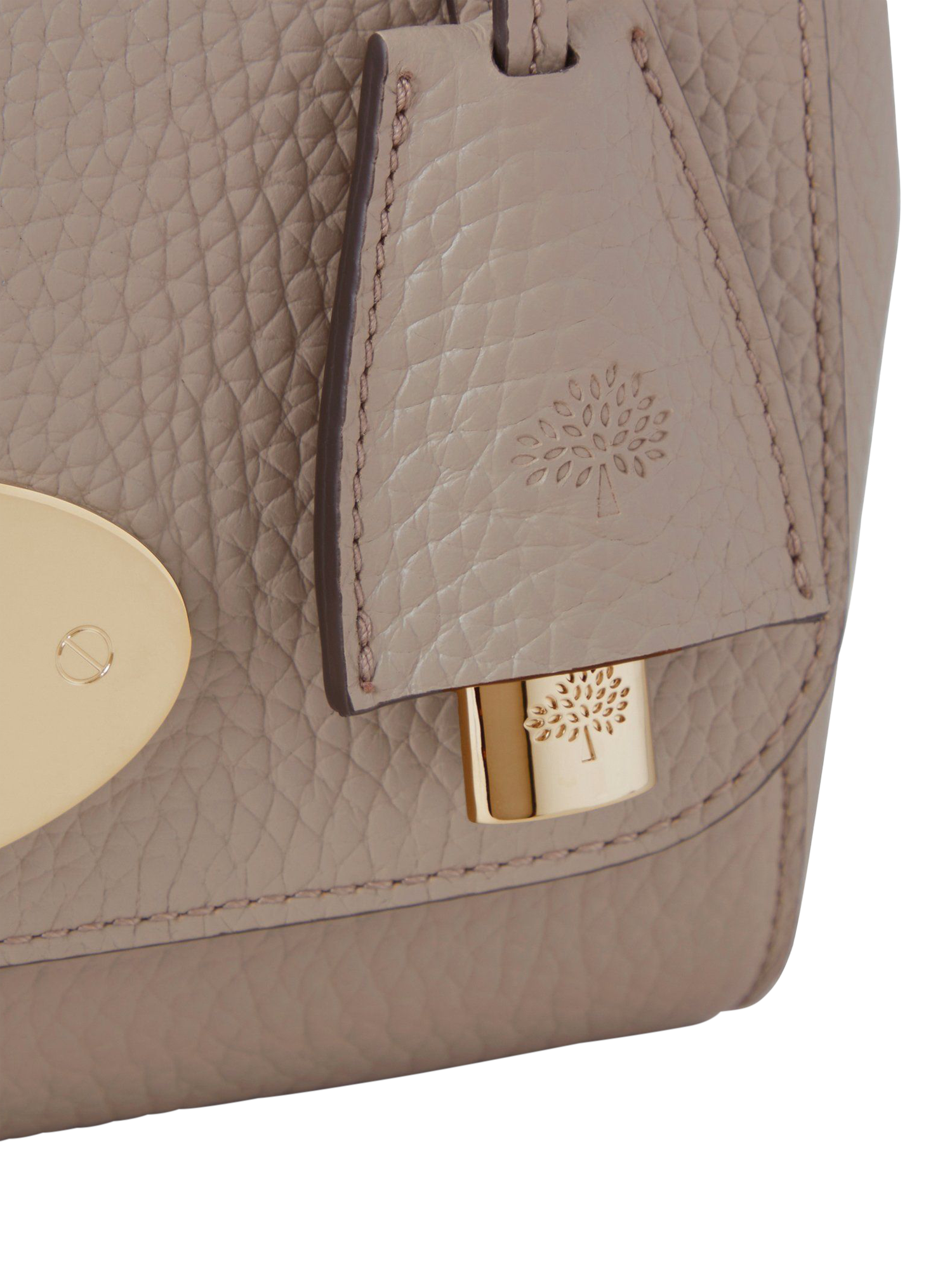 Product image 6 of 6, which shows Mulberry Lily Heavy Grain Leather Chain Strap Shoulder Bag, Cashmere Taupe