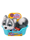 Little Live Pets My Really Real Puppy Mini Aurora