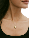 EDBLAD Beach Pearl Corrazza Shell Necklace, Yellow Gold