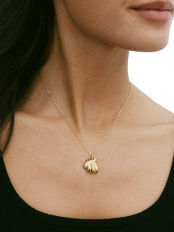 EDBLAD Beach Pearl Corrazza Shell Necklace, Yellow Gold - view 2, Yellow Gold