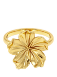 EDBLAD Large Jasmine Ring, Yellow Gold