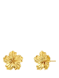EDBLAD Jasmine Stud Earrings, Yellow Gold