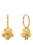EDBLAD Jasmine Huggie Hoop Earrings, Yellow Gold