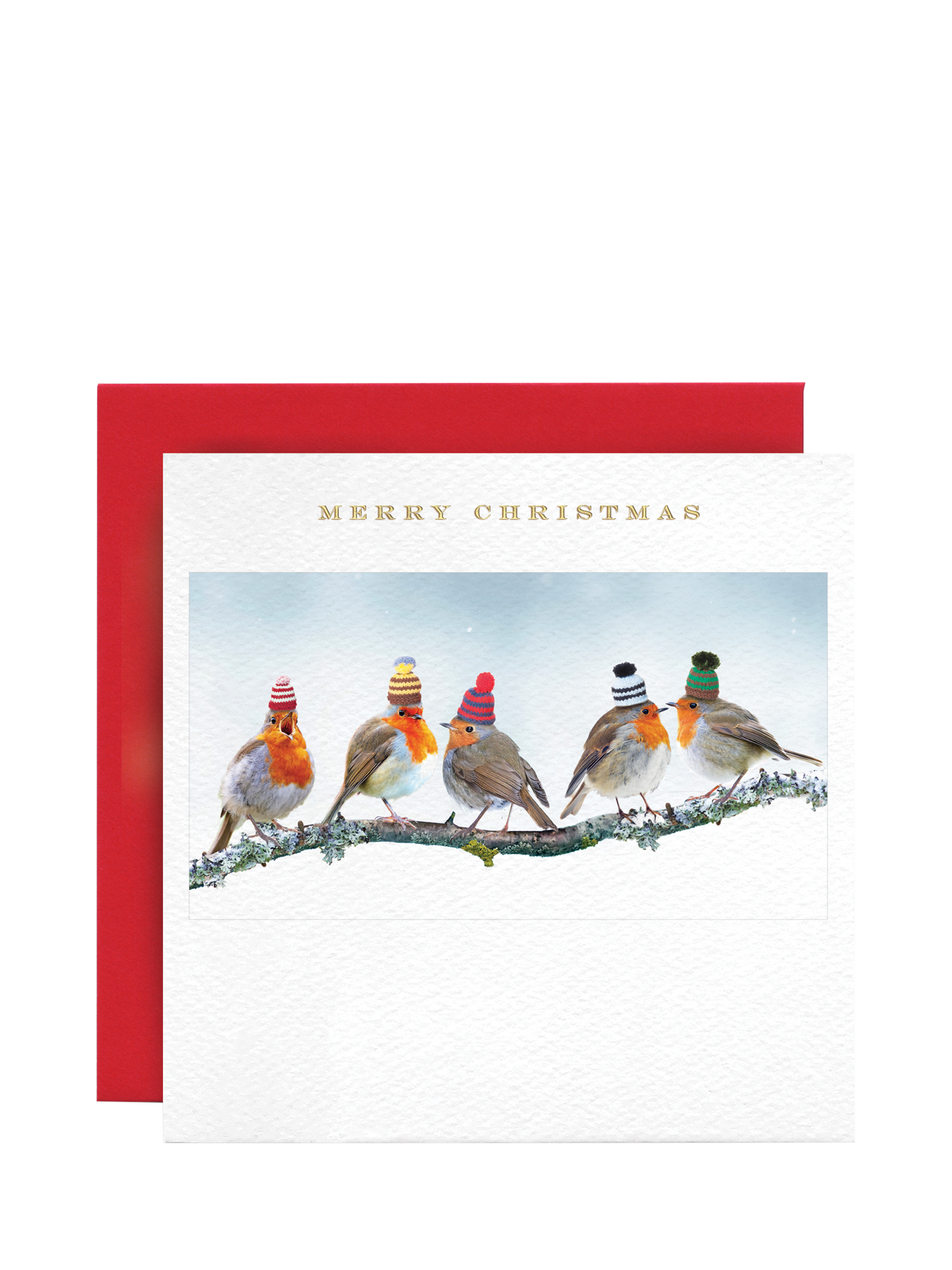 Susan O'Hanlon Robins In Hats Christmas Card