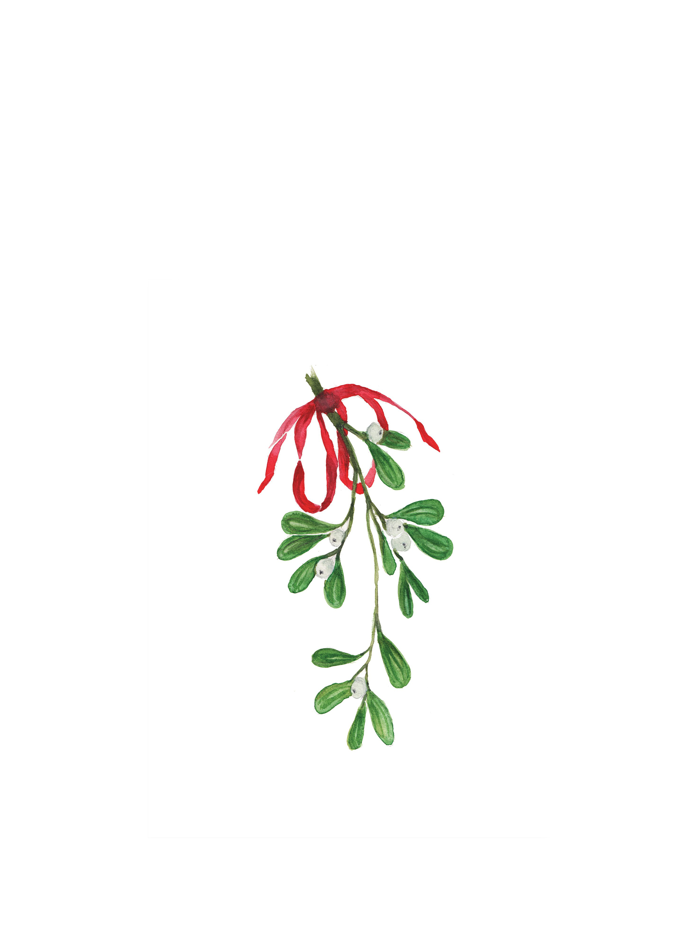 Wild Earth Art Mistletoe Bow Christmas Card